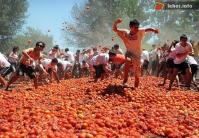 Ảnh Độc đáo lễ hội cà chua tại Quillon, Chile