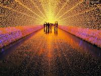 Ảnh Ngỡ ngàng vẻ đẹp của lễ hội ánh sáng 2013 tại Nhật
