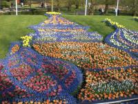 Ảnh Lễ hội hoa Floriade ở Hà Lan