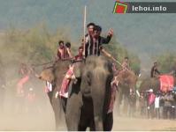 Ảnh Sôi động lễ hội đua voi 2015