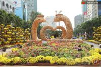 Ảnh TP.HCM kỷ niệm 10 năm Đường hoa Nguyễn Huệ tại TP Hồ Chí Minh