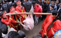 Ảnh Lễ hội Chạy Lợn ở Hà Nội