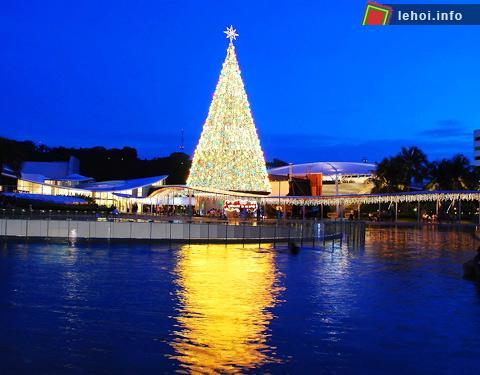 Cây thông noel khổng lồ được trang trí lộng lẫy